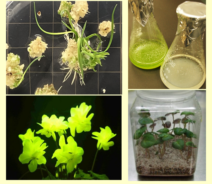 企業のイメージ画像