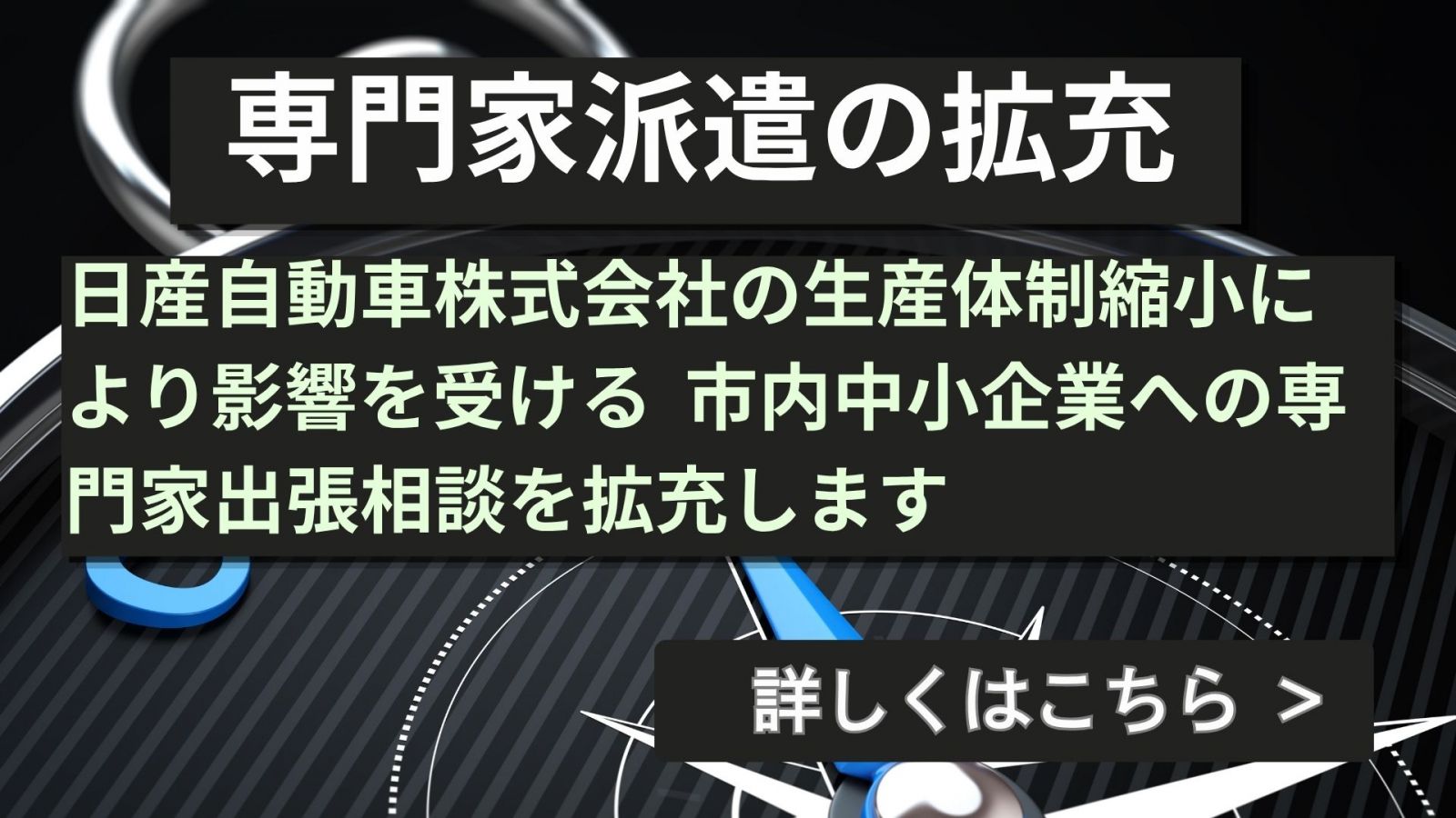 専門家派遣